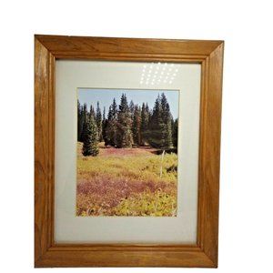 Steamboat Springs Colorado Landscape Trees Framed Photo Print Buffalo Pass